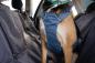 Preview: Load Up™ Harness (New Design) Slate Blue Gr. M Preview: Load Up™ Harness (New Design) Slate Blue Gr. M
